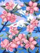 Buchcover und Innenansicht für das Buch: Colorful Surprise - Blumen