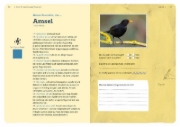 Buchcover und Innenansicht für das Buch: Dein Projekt. Dein Guide. Gartenvögel einladen & verwöhnen