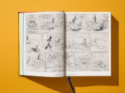 Buchcover und Innenansicht für das Buch: Walt Disney's Donald Duck