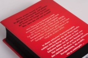 Buchcover und Innenansicht für das Buch: BLACKOUT - Morgen ist es zu spät
