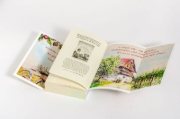Buchcover und Innenansicht für das Buch: Heimatsommer