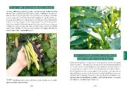 Buchcover und Innenansicht für das Buch: Das Gemüsegarten 1 x 1