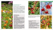 Buchcover und Innenansicht für das Buch: Jardiner sans produits chimiques