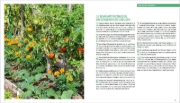 Buchcover und Innenansicht für das Buch: Jardiner sans produits chimiques
