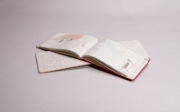 Buchcover und Innenansicht für das Buch: Francis Alÿs