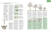 Buchcover und Innenansicht für das Buch: Das große GU Gartenbuch