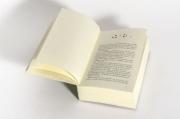Buchcover und Innenansicht für das Buch: Die Sturmrose