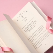 Buchcover und Innenansicht für das Buch: Hold Me - New England School of Ballet: Special Edition