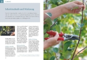 Buchcover und Innenansicht für das Buch: Obstgehölze schneiden