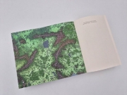 Buchcover und Innenansicht für das Buch: Der dunkle Brunnen