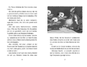 Buchcover und Innenansicht für das Buch: Dragon Girls - Phoebe, the Moonlight Dragon