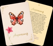 Buchcover und Innenansicht für das Buch: Orakelkarten: Zauber der Schmetterlinge