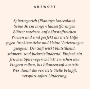 Buchcover und Innenansicht für das Buch: Kräuter-Quiz