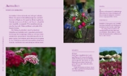 Buchcover und Innenansicht für das Buch: Nachhaltige Schnittblumen