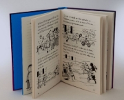 Buchcover und Innenansicht für das Buch: Diary of a Wimpy Kid - The Meltdown