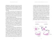 Buchcover und Innenansicht für das Buch: Die Longevity-Food-Formel für das Gehirn