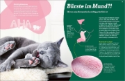 Buchcover und Innenansicht für das Buch: WAS IST WAS Katzen. Eigenwillige Schnurrer