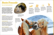Buchcover und Innenansicht für das Buch: WAS IST WAS Pferde. Freunde, Freiheit, Abenteuer