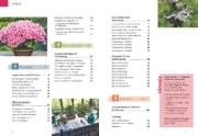 Buchcover und Innenansicht für das Buch: Bonsai ziehen, gestalten und pflegen