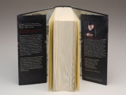 Buchcover und Innenansicht für das Buch: Fire & Blood Vol. 1: A History of House Targaryen of Westeros