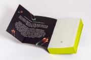 Buchcover und Innenansicht für das Buch: The Midnight Feast