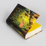 Buchcover und Innenansicht für das Buch: The Sun and the Star