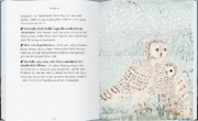 Buchcover und Innenansicht für das Buch: Be more owl