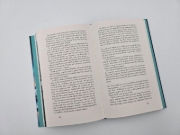 Buchcover und Innenansicht für das Buch: Wo Islands wilde Seele wohnt