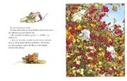 Buchcover und Innenansicht für das Buch: A year in Brambly Hedge