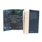 Buchcover und Innenansicht für das Buch: Witch of the Wolves