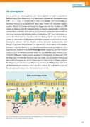 Buchcover und Innenansicht für das Buch: Sicher im Abi Biologie