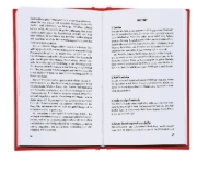 Buchcover und Innenansicht für das Buch: Machtübernahme