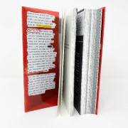 Buchcover und Innenansicht für das Buch: Illuminae