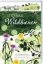 Buchcover und Innenansicht für das Buch: Unsere Wildbienen