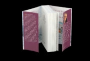 Buchcover und Innenansicht für das Buch: Die Tuchvilla