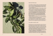 Buchcover und Innenansicht für das Buch: Boustany