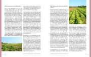 Buchcover und Innenansicht für das Buch: Emmi kocht einfach: 85 Rezepte für das ganze Jahr