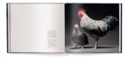 Buchcover und Innenansicht für das Buch: Gefiederte Eleganz
