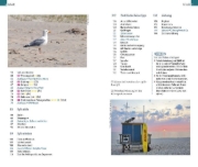 Buchcover und Innenansicht für das Buch: Reise Know-How InselTrip Sylt