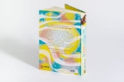 Buchcover und Innenansicht für das Buch: The Wish Switch