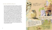 Buchcover und Innenansicht für das Buch: Hoe maakt u van uw tuin of balkon een vogelparadijs en waarom?