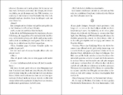 Buchcover und Innenansicht für das Buch: Funkenstille (Sweet Lemon Agency, Band 3)