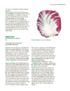 Buchcover und Innenansicht für das Buch: Das große Gemüse- und Obstgartenbuch