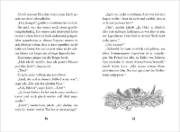 Buchcover und Innenansicht für das Buch: Auftrag von ganz oben. Die Koki-Bande