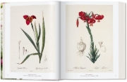 Buchcover und Innenansicht für das Buch: Redouté. The Book of Flowers