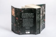 Buchcover und Innenansicht für das Buch: The Throne of Broken Gods (Gods & Monsters 02)