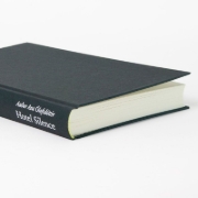 Buchcover und Innenansicht für das Buch: Hotel Silence