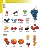 Buchcover und Innenansicht für das Buch: Langenscheidt Illustriertes Wörterbuch Englisch
