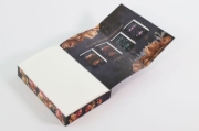 Buchcover und Innenansicht für das Buch: Chichago Ruthless - Dante