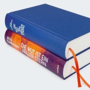 Buchcover und Innenansicht für das Buch: Die Wut ist ein heller Stern
